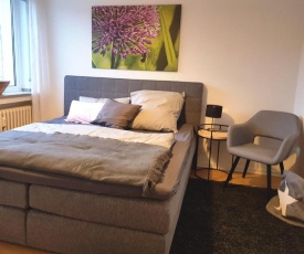 Neues, ruhiges Apartment in Düsseldorf-Nord