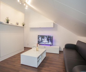 Stylish holiday home near Winterberg with private sauna house, terrace and garden