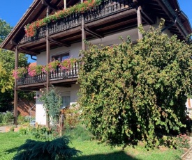 Gästehaus zum Rhein