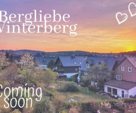 Bergliebe Winterberg