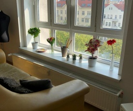 Top floor sunny studio apartment with beautiful view